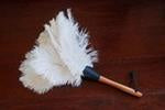 Feather Duster - Cream - FrenchWillow