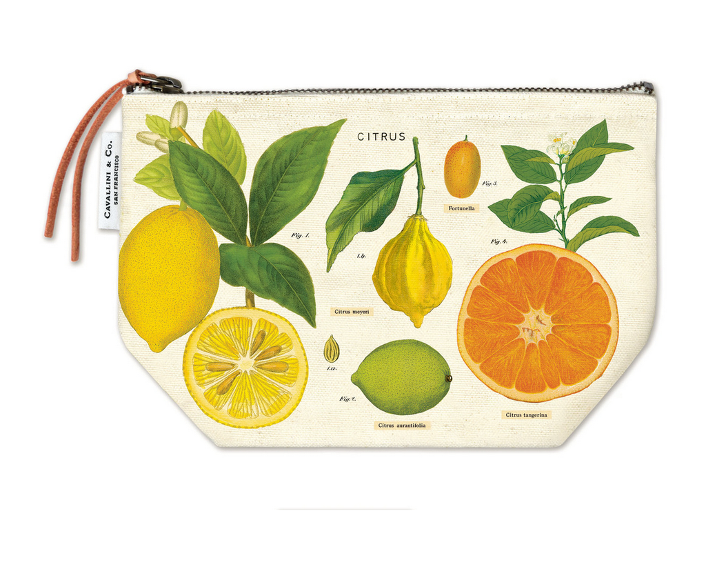 Cavallini Zippered Pouch - Citrus - FrenchWillow