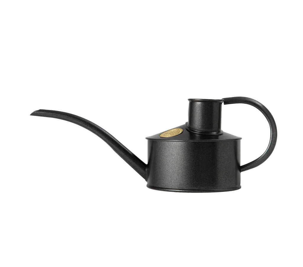 Graphite 0.5L 'Fazeley Flow' Metal Indoor Watering Can - Haws - FrenchWillow