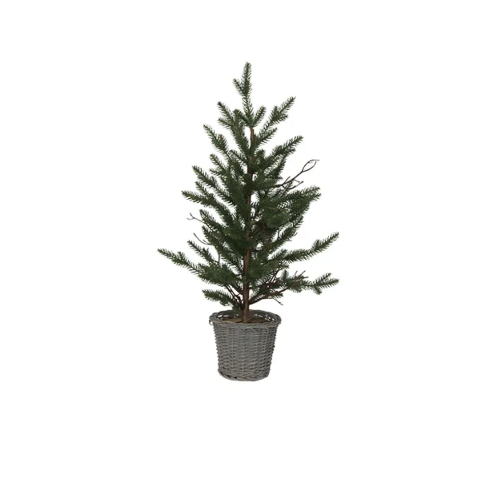 Forest Pine Tree in Rattan Basket - Medium 95cm